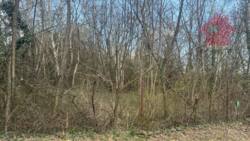 ������ ������ �� ������������ ����������! ���� 4