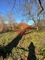 Продаж ділянки! Батфа! фото 1 Продаж ділянки! Батфа! фото 1