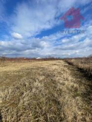 ������ �������� ������ - ����.������ ���� 1