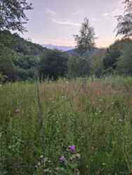 Продаж земелтної ділянки під будівництво! фото 1 Продаж земелтної ділянки під будівництво! фото 1