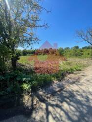 Продаж ділянки Садовий! фото 6 Продаж ділянки Садовий! фото 6