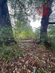 Продаж чудових ділянок в с.Кам'яниця фото 9 Продаж чудових ділянок в с.Кам'яниця фото 9