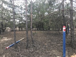   16     - Forest,  Riviera Village  2