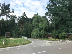 Продаж ділянки 60 сот серед сосен в Таценках, Обухівський р-н, вул. Лісна фото 10 Продаж ділянки 60 сот серед сосен в Таценках, Обухівський р-н, вул. Лісна фото 10