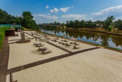   16     - Forest,  Riviera Village  6