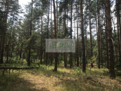   1,64          ,  Sobi Club,   1