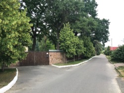 Продаж ділянки 60 сот серед сосен в Таценках, Обухівський р-н, вул. Лісна фото 11 Продаж ділянки 60 сот серед сосен в Таценках, Обухівський р-н, вул. Лісна фото 11