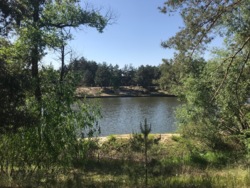 Продаж ділянки 37 соток з прямим виходом на воду, КМ Riviera Village, Вишгородський р-н, c. Лебедівка фото 4 Продаж ділянки 37 соток з прямим виходом на воду, КМ Riviera Village, Вишгородський р-н, c. Лебедівка фото 4