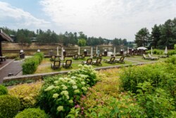   12     - Forest,  Riviera Village,  -  10