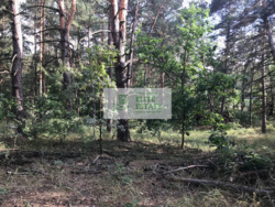 Продаж фасадної кутової ділянки 52 сот в Рудыках (Козин, Конча Заспа) фото 3 Продаж фасадної кутової ділянки 52 сот в Рудыках (Козин, Конча Заспа) фото 3