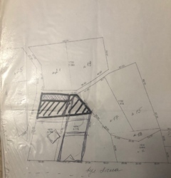 Продаж ділянки 60 сот серед сосен в Таценках, Обухівський р-н, вул. Лісна фото 3 Продаж ділянки 60 сот серед сосен в Таценках, Обухівський р-н, вул. Лісна фото 3