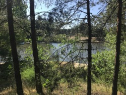 Продаж ділянки 37 соток з прямим виходом на воду, КМ Riviera Village, Вишгородський р-н, c. Лебедівка фото 5 Продаж ділянки 37 соток з прямим виходом на воду, КМ Riviera Village, Вишгородський р-н, c. Лебедівка фото 5