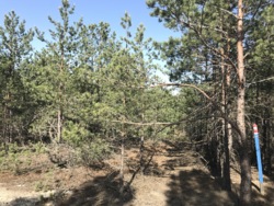   13   ,  Riviera Village,  , c.   2