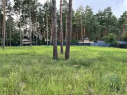    37   . ,  -  2