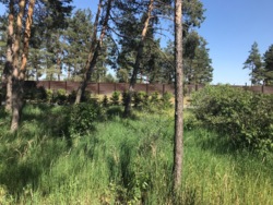 Продаж ділянки 37 соток з прямим виходом на воду, КМ Riviera Village, Вишгородський р-н, c. Лебедівка фото 8 Продаж ділянки 37 соток з прямим виходом на воду, КМ Riviera Village, Вишгородський р-н, c. Лебедівка фото 8