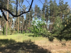 Продаж ділянки 37 соток з прямим виходом на воду, КМ Riviera Village, Вишгородський р-н, c. Лебедівка фото 6 Продаж ділянки 37 соток з прямим виходом на воду, КМ Riviera Village, Вишгородський р-н, c. Лебедівка фото 6