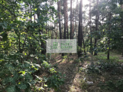 Продаж фасадної кутової ділянки 52 сот в Рудыках (Козин, Конча Заспа) фото 2 Продаж фасадної кутової ділянки 52 сот в Рудыках (Козин, Конча Заспа) фото 2