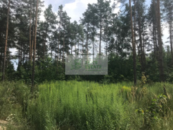 Продажа видового участка 10 сот. с выходом на воду + сосновый лес, Хотяновка, 3 км дамбы фото 4 Продажа видового участка 10 сот. с выходом на воду + сосновый лес, Хотяновка, 3 км дамбы фото 4