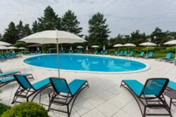   12     - Forest,  Riviera Village,  -  11