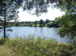 Продаж ділянки 37 соток з прямим виходом на воду, КМ Riviera Village, Вишгородський р-н, c. Лебедівка фото 1 Продаж ділянки 37 соток з прямим виходом на воду, КМ Riviera Village, Вишгородський р-н, c. Лебедівка фото 1