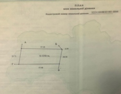 Продаж ділянки 60 сот серед сосен в Таценках, Обухівський р-н, вул. Лісна фото 6 Продаж ділянки 60 сот серед сосен в Таценках, Обухівський р-н, вул. Лісна фото 6