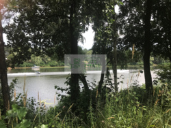 Продажа видового участка 10 сот. с выходом на воду + сосновый лес, Хотяновка, 3 км дамбы фото 6 Продажа видового участка 10 сот. с выходом на воду + сосновый лес, Хотяновка, 3 км дамбы фото 6