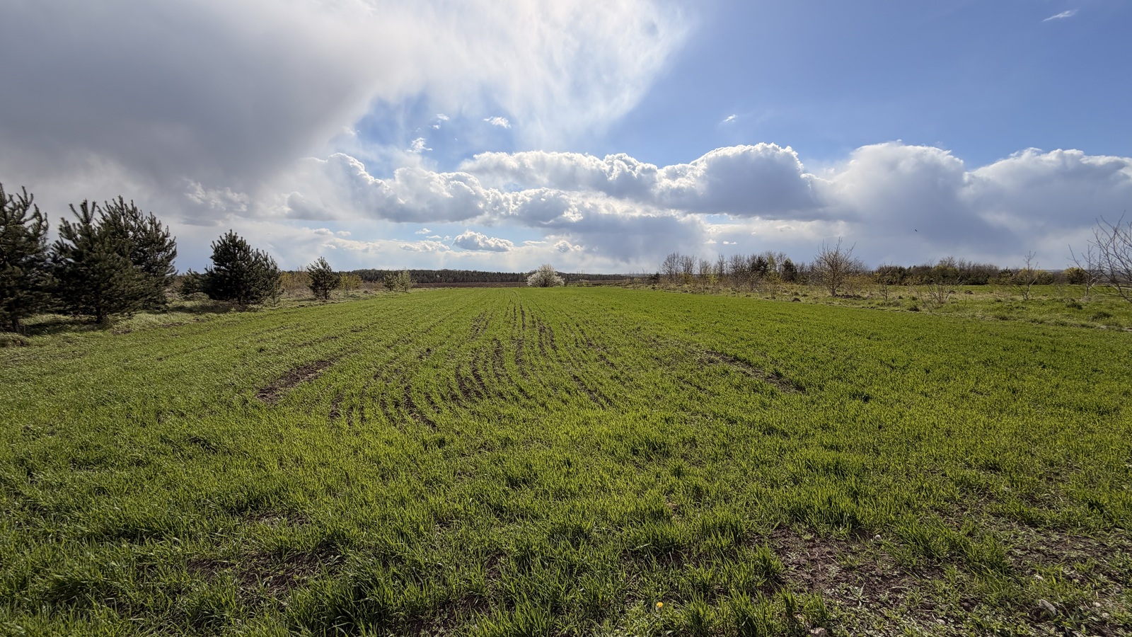 ������ �������� ������ 15 �����, ����� ����� ���� 1