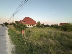  12    .  ,   12