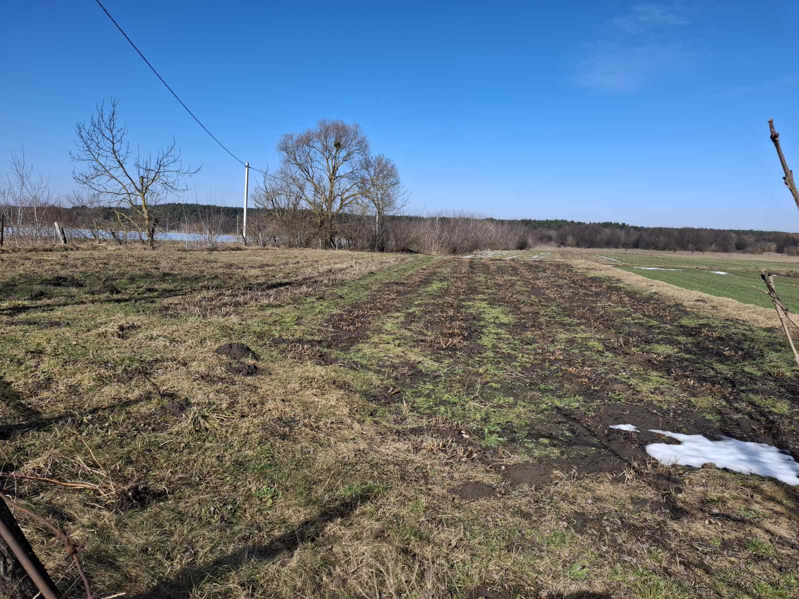 ������ �������� ������ ���� 1