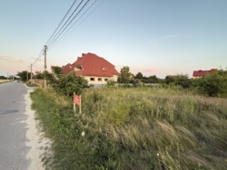  12    .  ,   13