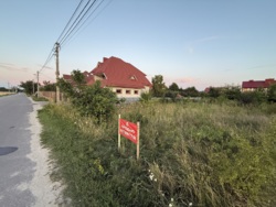  12    .  ,   11