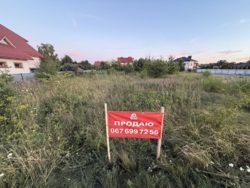  12    .  ,   8