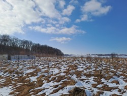 ������ �������� ������ � �. ����� �� 10 ����� ���� 8