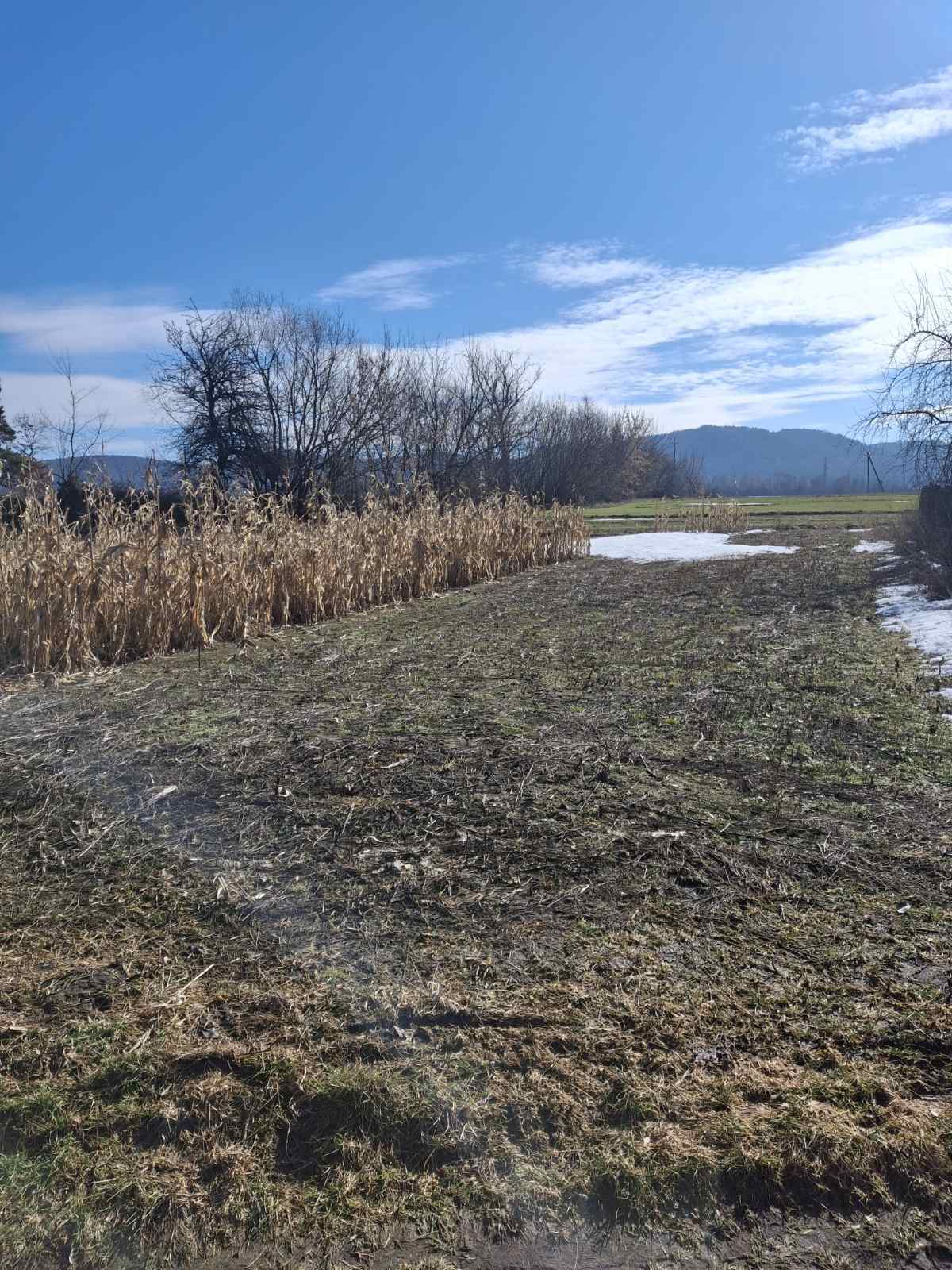 ������ �������� ������ ���� 1