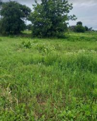 ������ �������� ������ �� ������� ��������, ����� 13 �����, ����� �� ���� 2