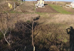 ������ �������� ������ �� ������� �������� �� ���. ��������, ����� 12 ����� ���� 3