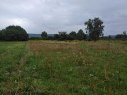 ������ �������� ������ ���� 2