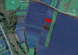 ��������� �������� ������ ��� ���������� �������, �. �������, 17 ����� ���� 7