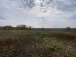 ��������� �������� ������ �� �������� � �. ����������� ���� 6