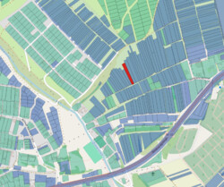 ������ �������� ������ � ϳ�����������, 18 ����� ���� 1