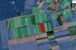 ������ �������� ������ �� �������� � �. ������ ����� ���� 2