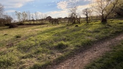 ��������� �������� ������ � �������� ���������. ���� 4