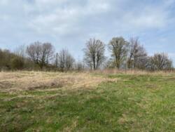 ������ �������� ������ �� �������� �.��������� ���� 7