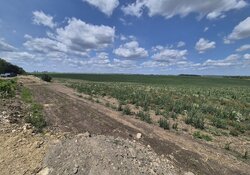 Продаж земельної ділянки комерційного призначення 86,76 сотих в Смиківцях фото 2 Продаж земельної ділянки комерційного призначення 86,76 сотих в Смиківцях фото 2