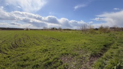 ������ �������� ������ 15 �����, ����� ����� ���� 3