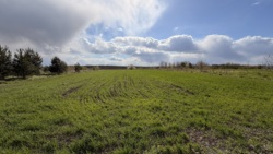 ������ �������� ������ 15 �����, ����� ����� ���� 1