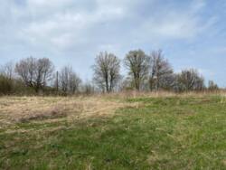 ������ �������� ������ �� �������� �.��������� ���� 6