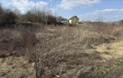 ������ �������� ������, ����� 29 �����, ����� �� ���� 5