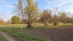 ��������� ������ � �������� ���������. ���� 7