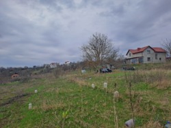 ������. �������� ������. ������������� �-� � ������� ���� 2